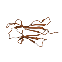 The deposited structure of PDB entry 1qqd contains 1 copy of CATH domain 2.60.40.10 (Immunoglobulin-like) in Beta-2-microglobulin. Showing 1 copy in chain B.