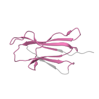 The deposited structure of PDB entry 1qqd contains 1 copy of Pfam domain PF07654 (Immunoglobulin C1-set domain) in Beta-2-microglobulin. Showing 1 copy in chain B.