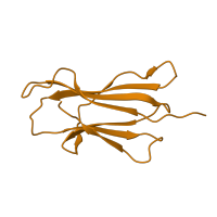 The deposited structure of PDB entry 1qqd contains 1 copy of SCOP domain 48942 (C1 set domains (antibody constant domain-like)) in Beta-2-microglobulin. Showing 1 copy in chain B.