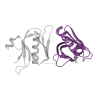 The deposited structure of PDB entry 1qqg contains 2 copies of Pfam domain PF02174 (PTB domain (IRS-1 type)) in Insulin receptor substrate 1. Showing 1 copy in chain B.