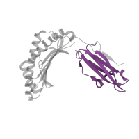 The deposited structure of PDB entry 1qr1 contains 2 copies of Pfam domain PF07654 (Immunoglobulin C1-set domain) in HLA class I histocompatibility antigen, A alpha chain. Showing 1 copy in chain A.