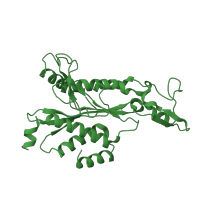 The deposited structure of PDB entry 1qrh contains 1 copy of SCOP domain 52981 (Restriction endonuclease EcoRI) in Type II restriction enzyme EcoRI. Showing 1 copy in chain B [auth A].