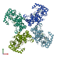 PDB entry 1qrq coloured by chain, front view.