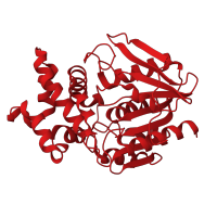 The deposited structure of PDB entry 1qtr contains 1 copy of CATH domain 3.40.50.1820 (Rossmann fold) in Proline iminopeptidase. Showing 1 copy in chain A.