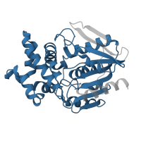 The deposited structure of PDB entry 1qtr contains 1 copy of Pfam domain PF00561 (alpha/beta hydrolase fold) in Proline iminopeptidase. Showing 1 copy in chain A.