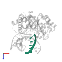 5'-D(*CP*GP*TP*CP*C)-3' in PDB entry 1qum, assembly 1, top view.