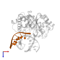 5'-D(*(3DR)P*CP*GP*AP*CP*GP*A)-3' in PDB entry 1qum, assembly 1, top view.