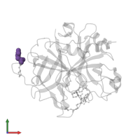 Modified residue DGL in PDB entry 1qur, assembly 1, front view.