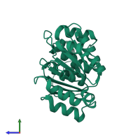 ATP-dependent RNA helicase eIF4A in PDB entry 1qva, assembly 1, side view.