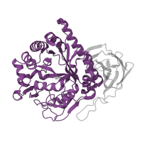 The deposited structure of PDB entry 1qw9 contains 2 copies of SCOP domain 51487 (beta-glycanases) in Intracellular exo-alpha-(1->5)-L-arabinofuranosidase. Showing 1 copy in chain A.