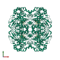 Homo tetrameric assembly 1 of PDB entry 1qwm coloured by chemically distinct molecules, front view.