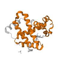 The deposited structure of PDB entry 1qxe contains 2 copies of Pfam domain PF00042 (Globin) in Hemoglobin subunit beta. Showing 1 copy in chain B.