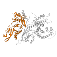 The deposited structure of PDB entry 1qxp contains 2 copies of Pfam domain PF00648 (Calpain family cysteine protease) in Calpain small subunit 1. Showing 1 copy in chain B.