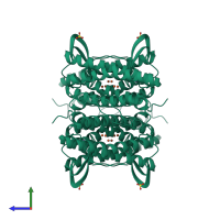 Homo tetrameric assembly 2 of PDB entry 1qyb coloured by chemically distinct molecules, side view.