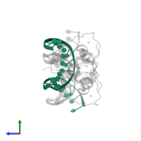 Ecdysone Response Element in PDB entry 1r0o, assembly 1, side view.