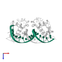 Ecdysone Response Element in PDB entry 1r0o, assembly 1, top view.