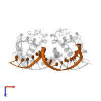 Ecdysone Response Element in PDB entry 1r0o, assembly 1, top view.