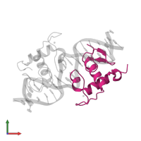 Ecdysone receptor in PDB entry 1r0o, assembly 1, front view.