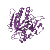 The deposited structure of PDB entry 1r0r contains 1 copy of CATH domain 3.40.50.200 (Rossmann fold) in Subtilisin Carlsberg. Showing 1 copy in chain A [auth E].