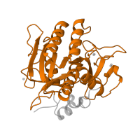 The deposited structure of PDB entry 1r0r contains 1 copy of Pfam domain PF00082 (Subtilase family) in Subtilisin Carlsberg. Showing 1 copy in chain A [auth E].