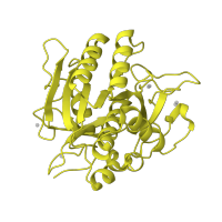 The deposited structure of PDB entry 1r0r contains 1 copy of SCOP domain 52744 (Subtilases) in Subtilisin Carlsberg. Showing 1 copy in chain A [auth E].