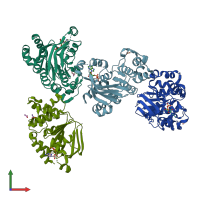 PDB entry 1r0y coloured by chain, front view.