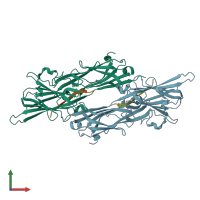 3D model of 1r17 from PDBe