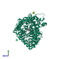 PDB entry 1r1h coloured by chain, side view.