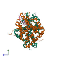 PDB entry 1r1k coloured by chain, side view.