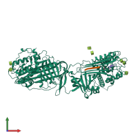 Hetero tetrameric assembly 1 of PDB entry 1r1l coloured by chemically distinct molecules, front view.