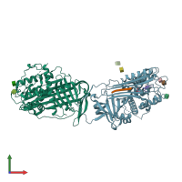 PDB entry 1r1l coloured by chain, front view.