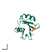 Hetero dimeric assembly 3 of PDB entry 1r1p coloured by chemically distinct molecules, side view.