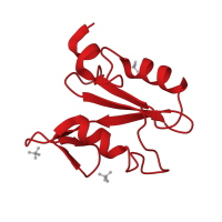 The deposited structure of PDB entry 1r1q contains 2 copies of CATH domain 3.30.505.10 (SHC Adaptor Protein) in GRB2-related adaptor protein 2. Showing 1 copy in chain B.