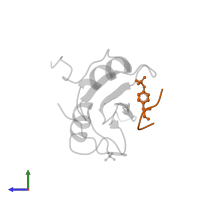 LAT pY191 peptide in PDB entry 1r1q, assembly 1, side view.