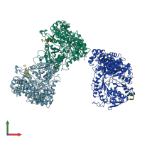 PDB entry 1r1r coloured by chain, front view.