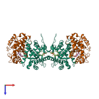 Hetero tetrameric assembly 2 of PDB entry 1r20 coloured by chemically distinct molecules, top view.