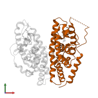 Ecdysone receptor in PDB entry 1r20, assembly 1, front view.