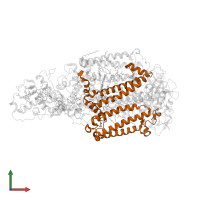 Reaction center protein L chain in PDB entry 1r2c, assembly 1, front view.