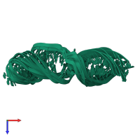 PDB entry 1r2p coloured by chain, ensemble of 10 models, top view.