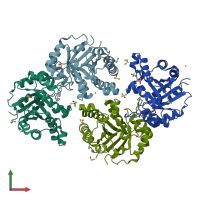 PDB entry 1r2r coloured by chain, front view.