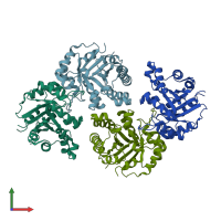 PDB entry 1r2s coloured by chain, front view.