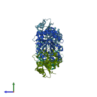 PDB entry 1r2s coloured by chain, side view.