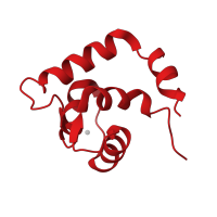 The deposited structure of PDB entry 1r2u contains 1 copy of CATH domain 1.10.238.10 (Recoverin; domain 1) in EF-hand domain-containing protein. Showing 1 copy in chain A.