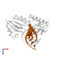 5'-D(*TP*GP*CP*GP*TP*CP*CP*AP*(DHU)P*GP*TP*CP*TP*AP*CP*C)-3' in PDB entry 1r2z, assembly 1, top view.