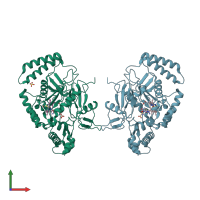 PDB entry 1r35 coloured by chain, front view.