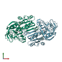 PDB entry 1r37 coloured by chain, front view.