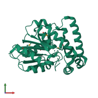 PDB entry 1r3d coloured by chain, front view.
