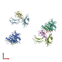 PDB entry 1r3h coloured by chain, front view.