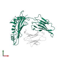 Ig-like domain-containing protein in PDB entry 1r3h, assembly 1, front view.