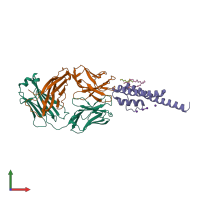 PDB entry 1r3i coloured by chain, front view.